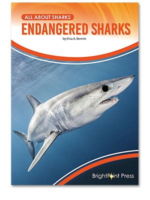 Endangered Sharks cover
